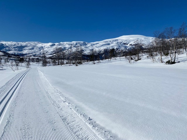 Skiløypelaget søker tilskudd til ny tråkkemaskin