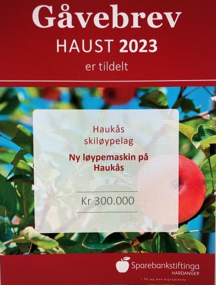 Artikkelbilde til artikkelen Nytt tildeling fra Sparebankstiftinga Hardanger 