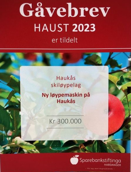 Nytt tildeling fra Sparebankstiftinga Hardanger 