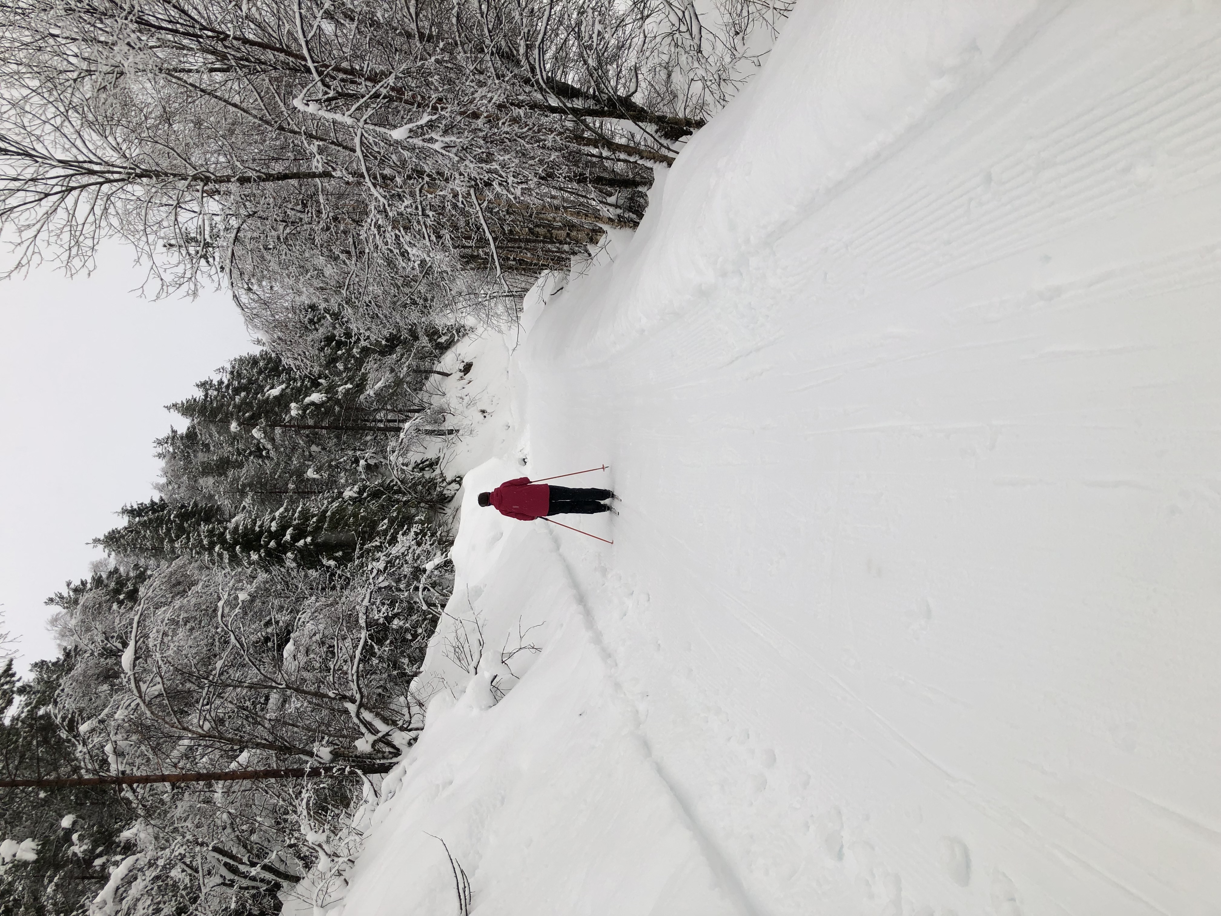 Artikkelbilde til artikkelen Flotte forhold i romjulen. 