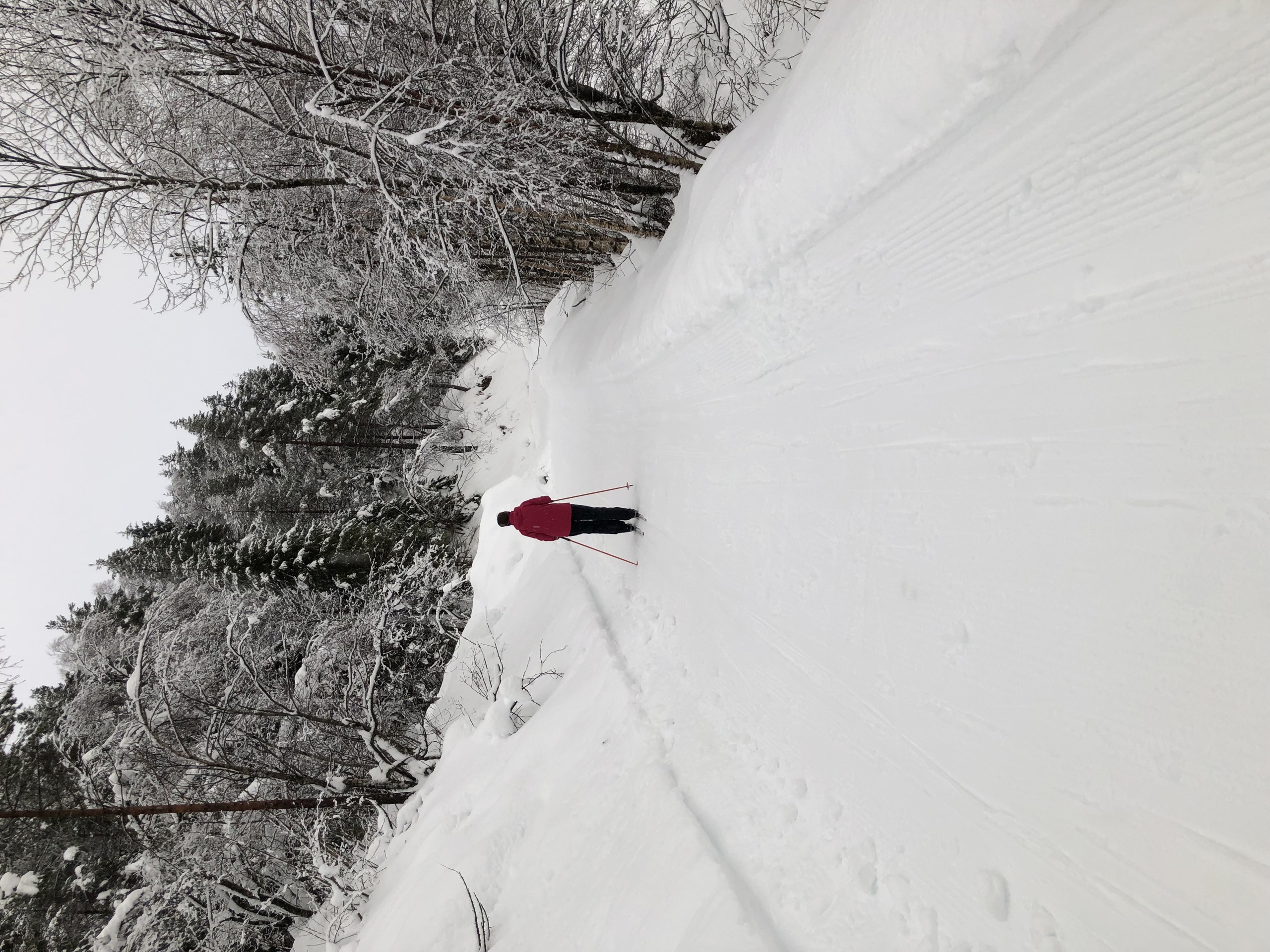 Flotte forhold i romjulen. 